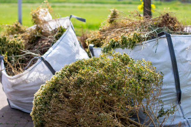 Best Dumpster Rental Services  in South Browning, MT